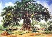 Thomas Baines Baobab Tree France oil painting artist